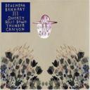 devendra-banhart.jpg
